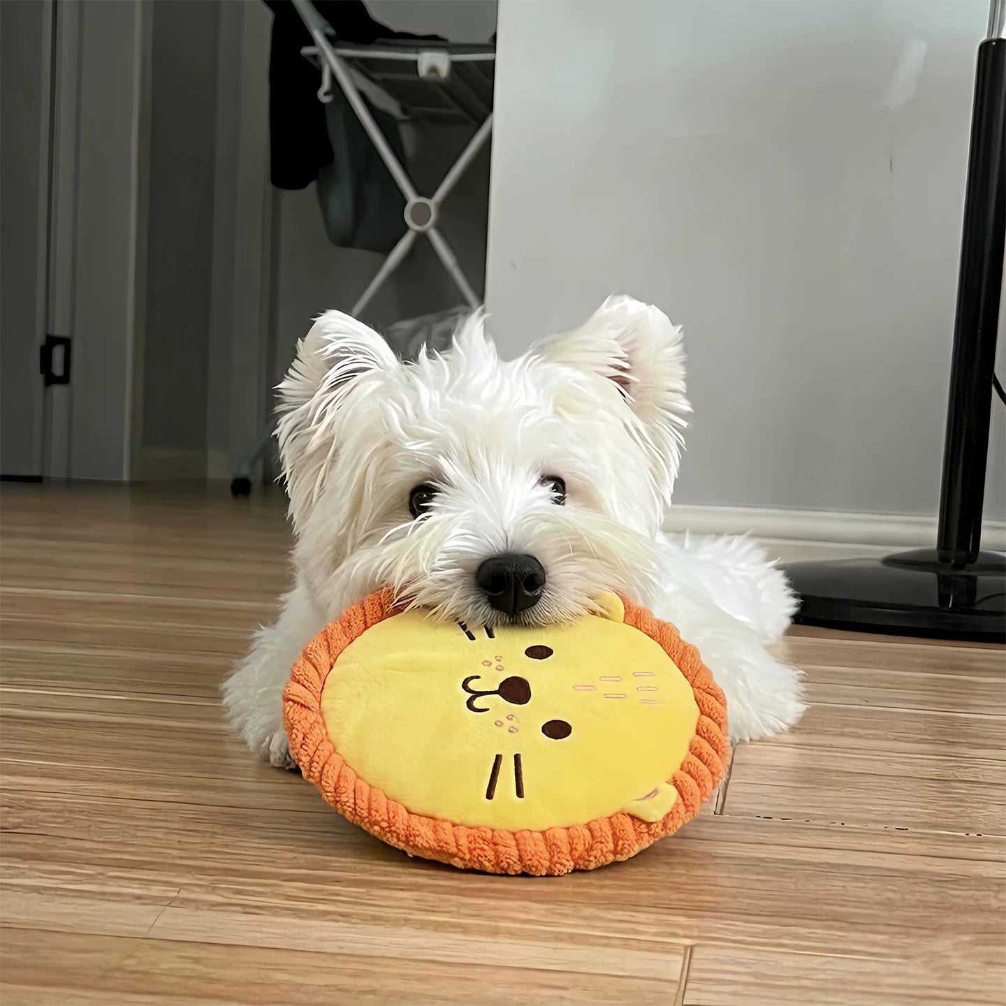 Plush Elephant Squeaky Dog Toy for Chewing & Cuddling