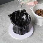 Raised Cat-Shaped Pet Food Bowl
