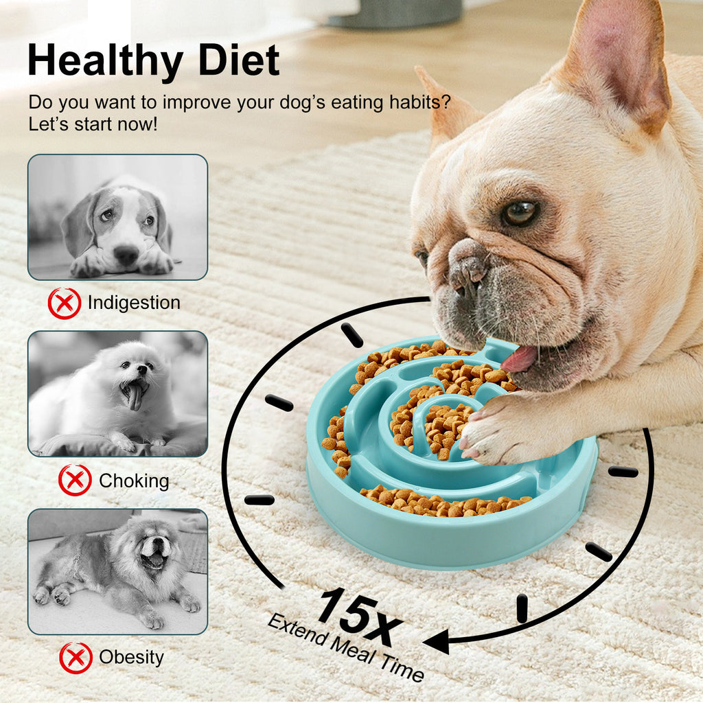 Spiral Maze Slow Feeder Dog Bowl