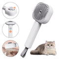 Rechargeable Mist Grooming Brush for Cats & Dogs